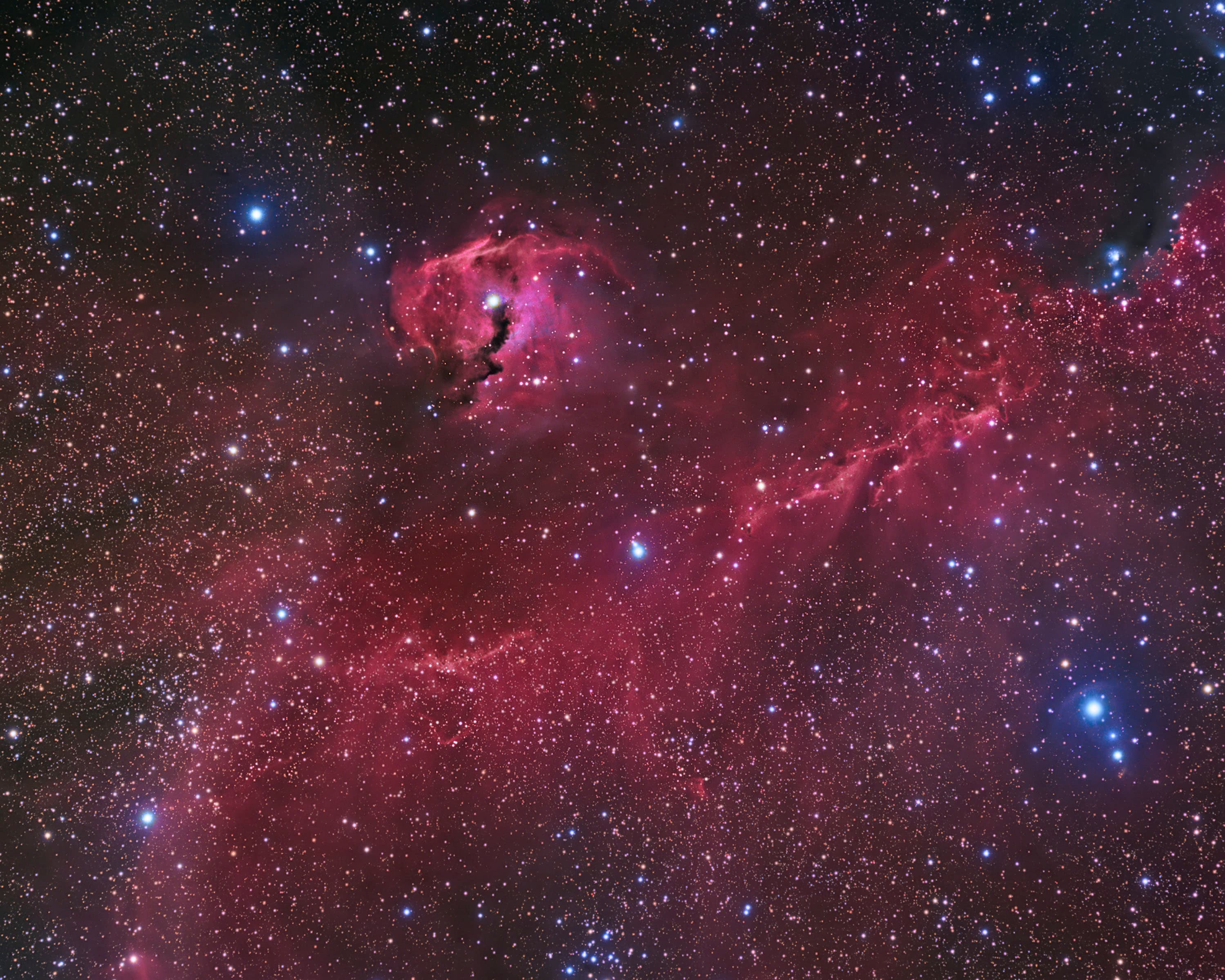 APOD: 2014 January 11 – The Seagull Nebula
