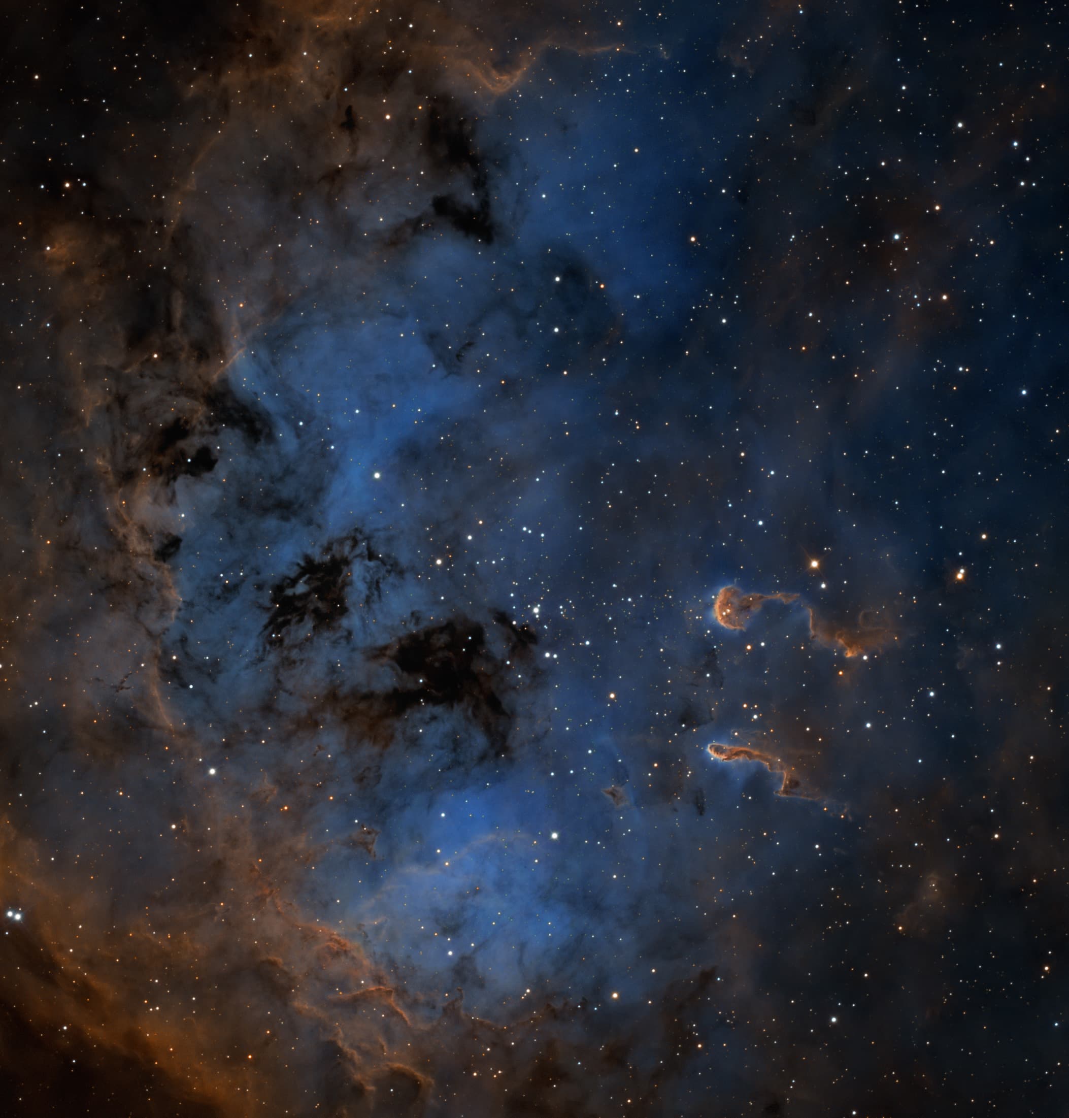 APOD: 2014 January 9 – The Tadpoles of IC 410