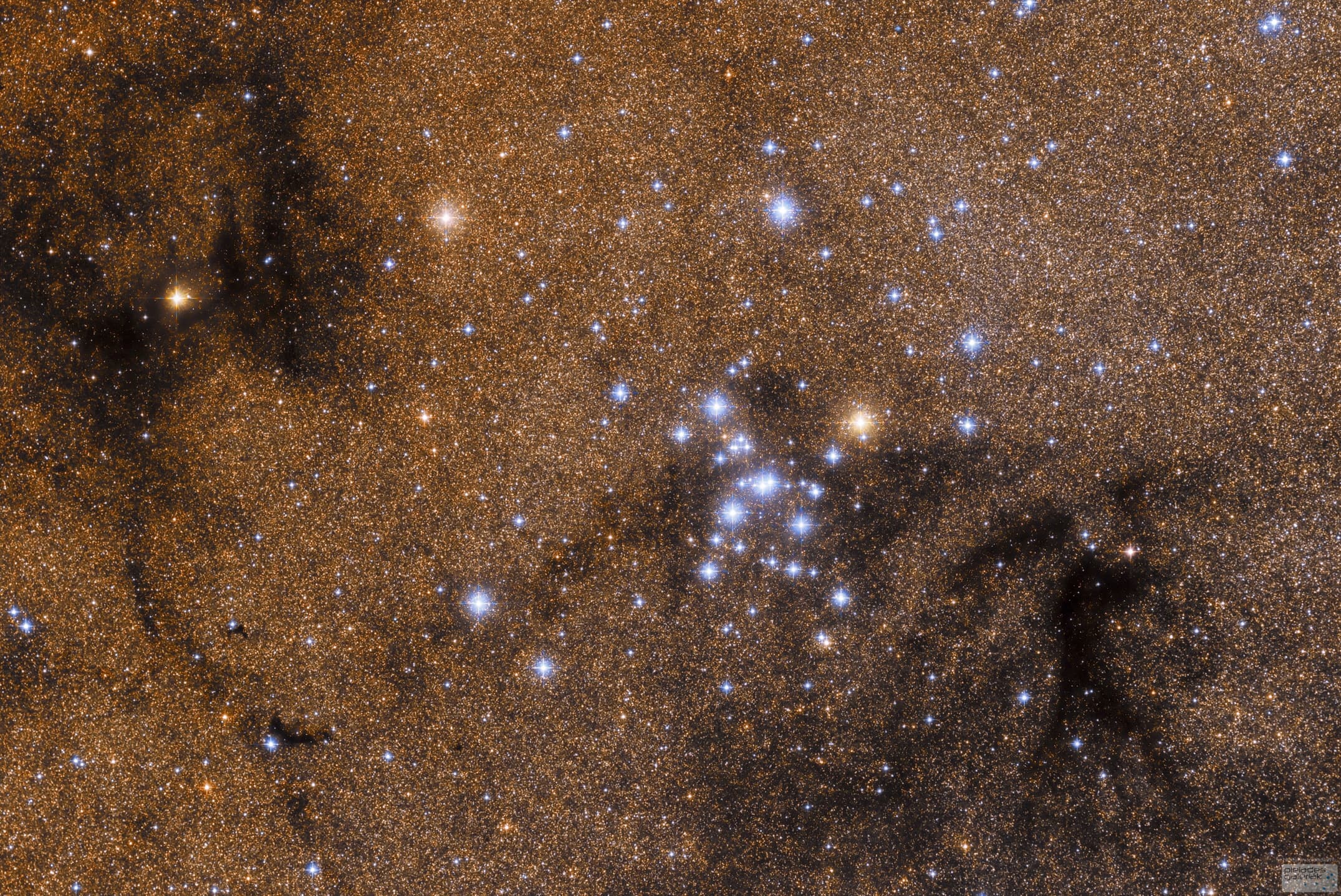 APOD: 2014 January 7 – M7: Open Star Cluster in Scorpius