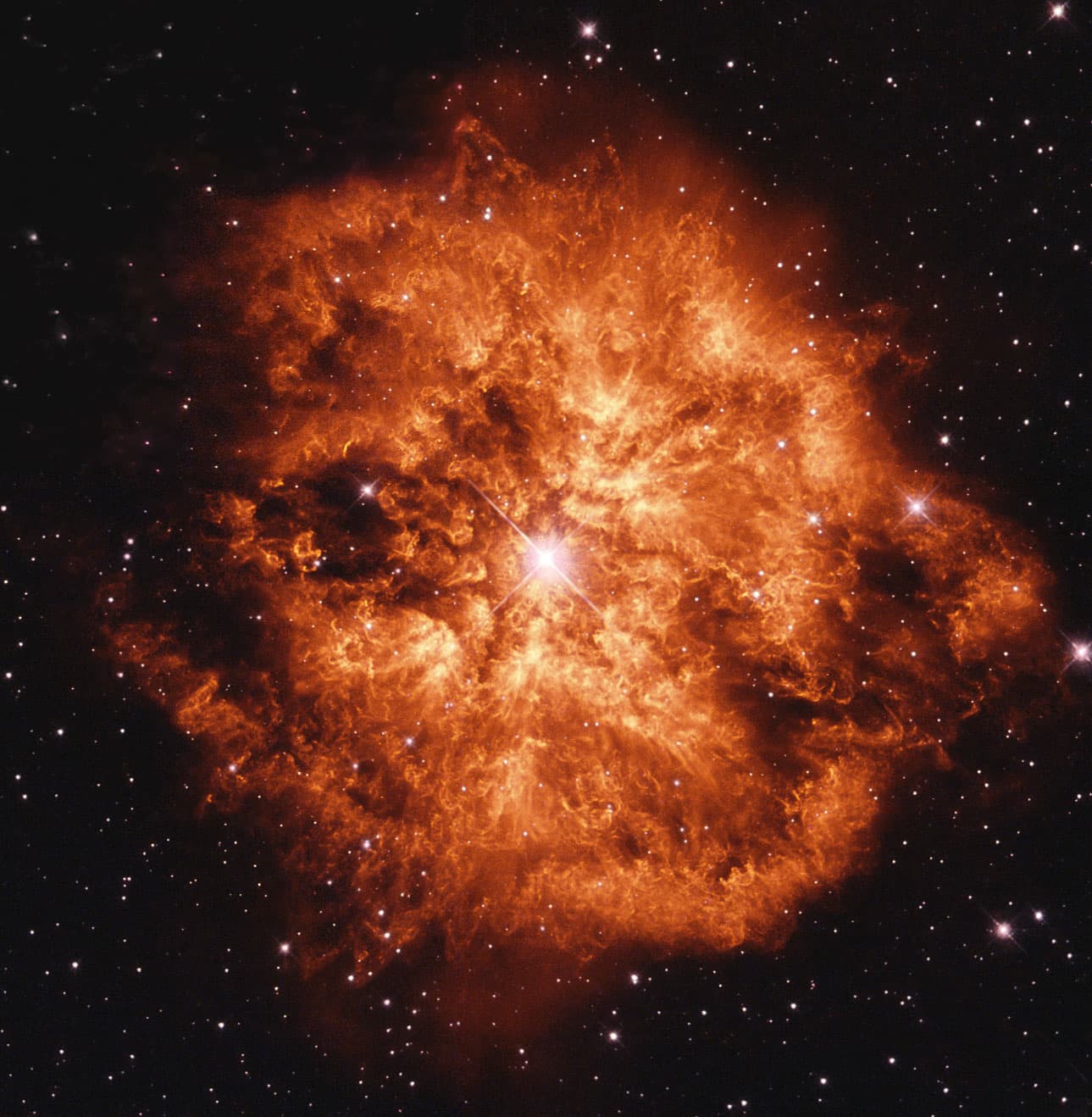 APOD: 2014 July 1 – Wolf Rayet Star 124: Stellar Wind Machine