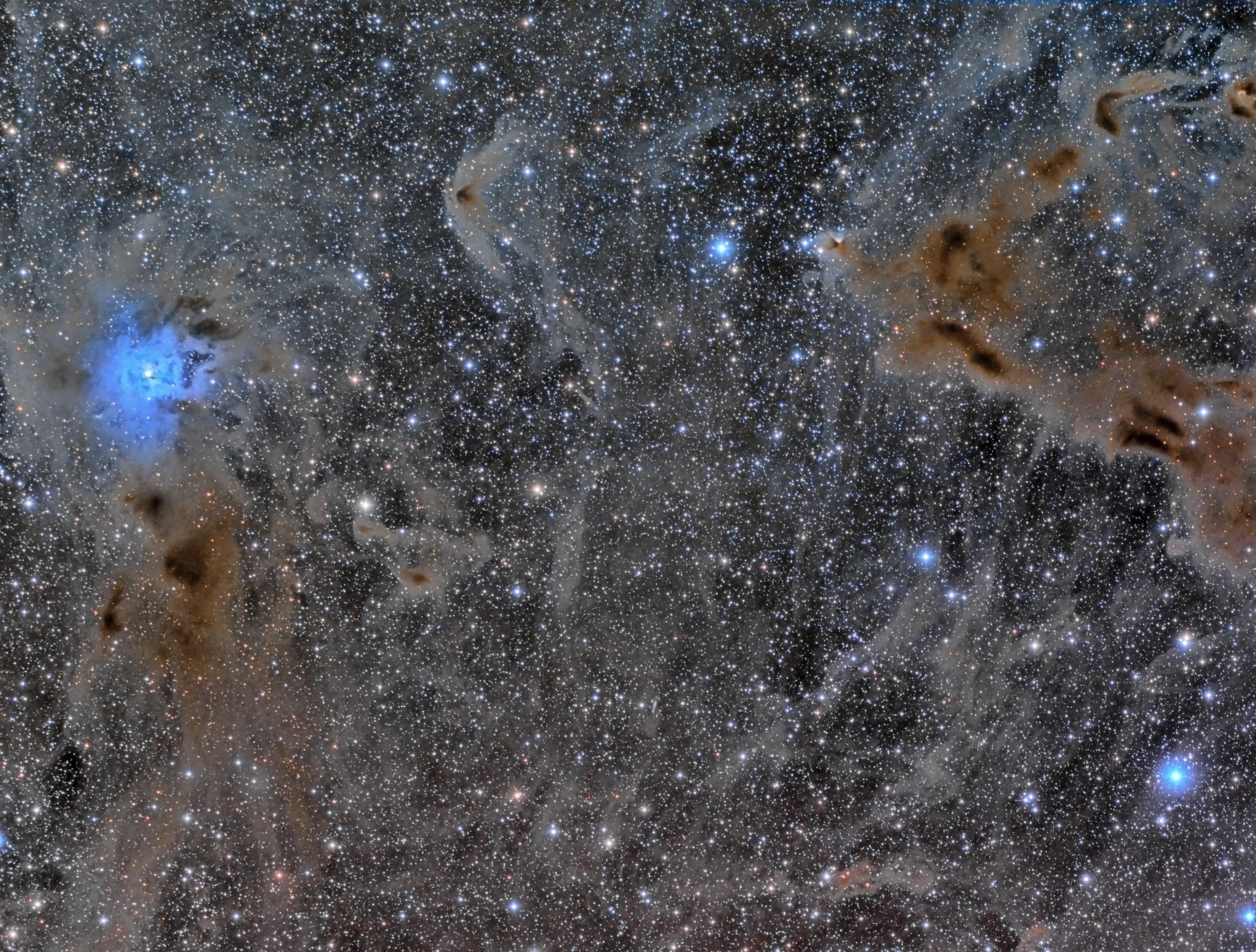 APOD: 2014 June 24 – The Iris Nebula in a Field of Dust