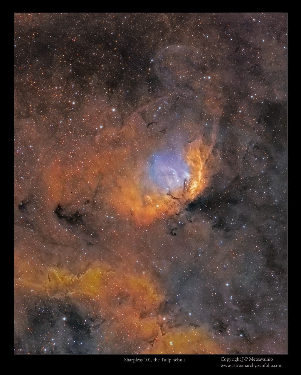 APOD: 2014 November 15 – The Tulip in the Swan