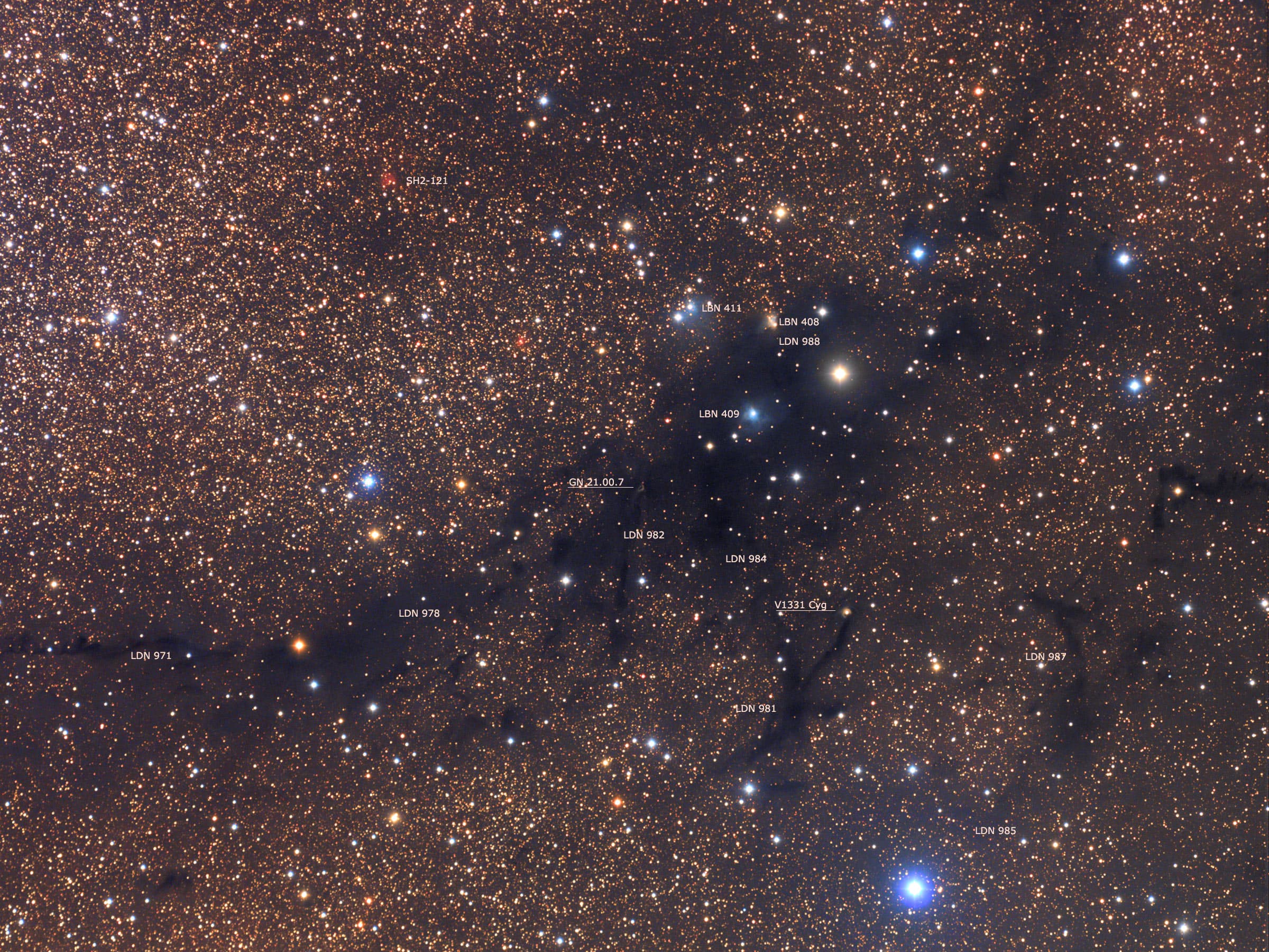 APOD: 2014 November 20 – LDN 988: Dark Nebula in Cygnus
