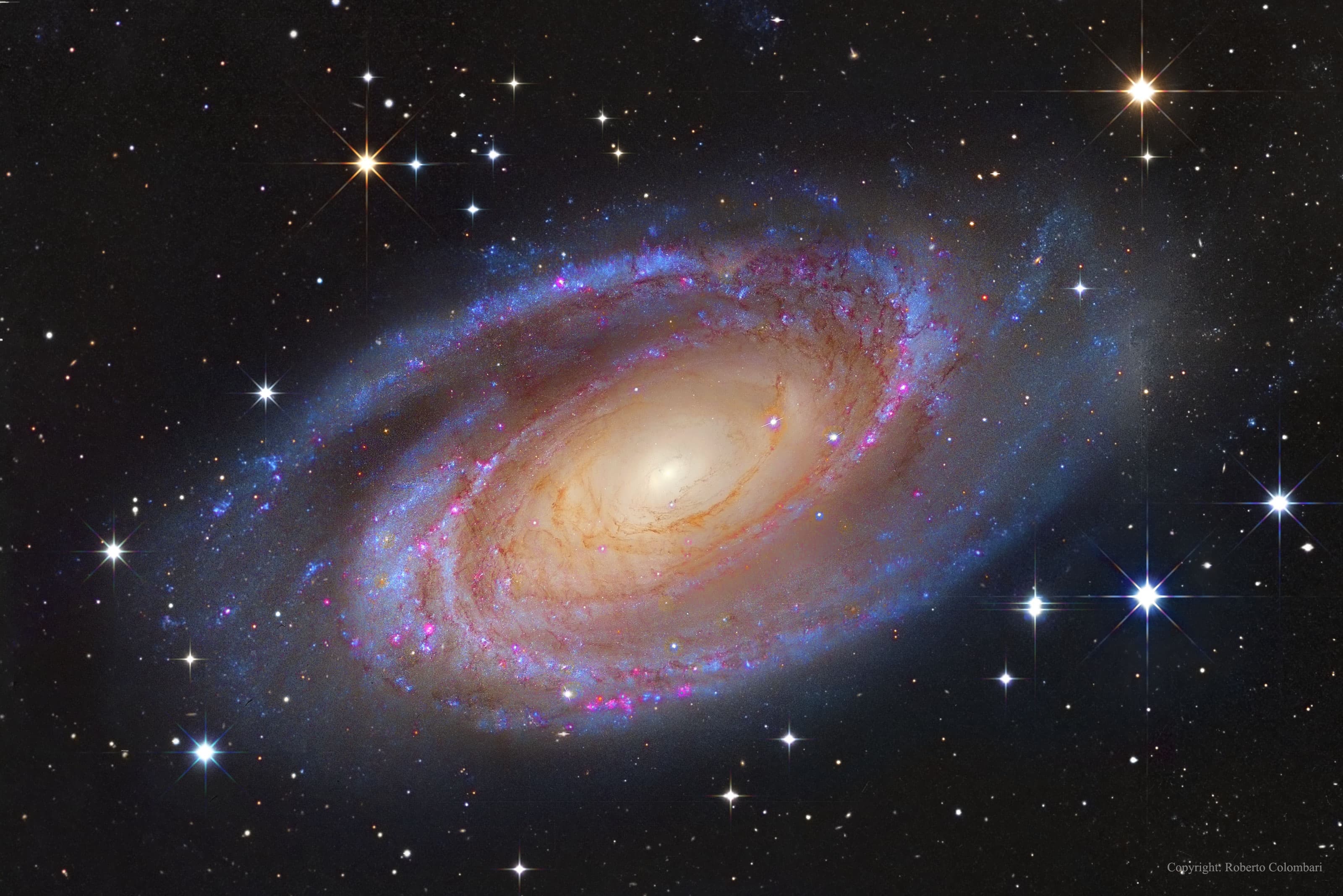 APOD: 2014 November 19 – Bright Spiral Galaxy M81
