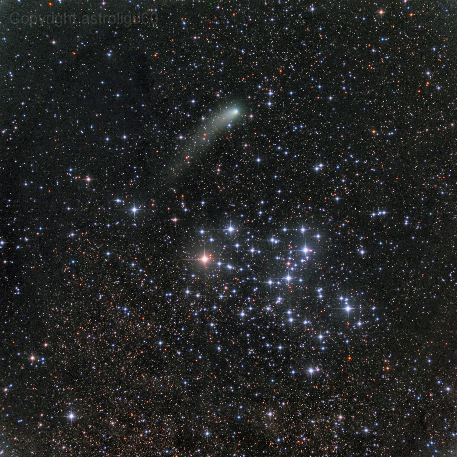 APOD: 2014 October 17 – Messier 6 and Comet Siding Spring