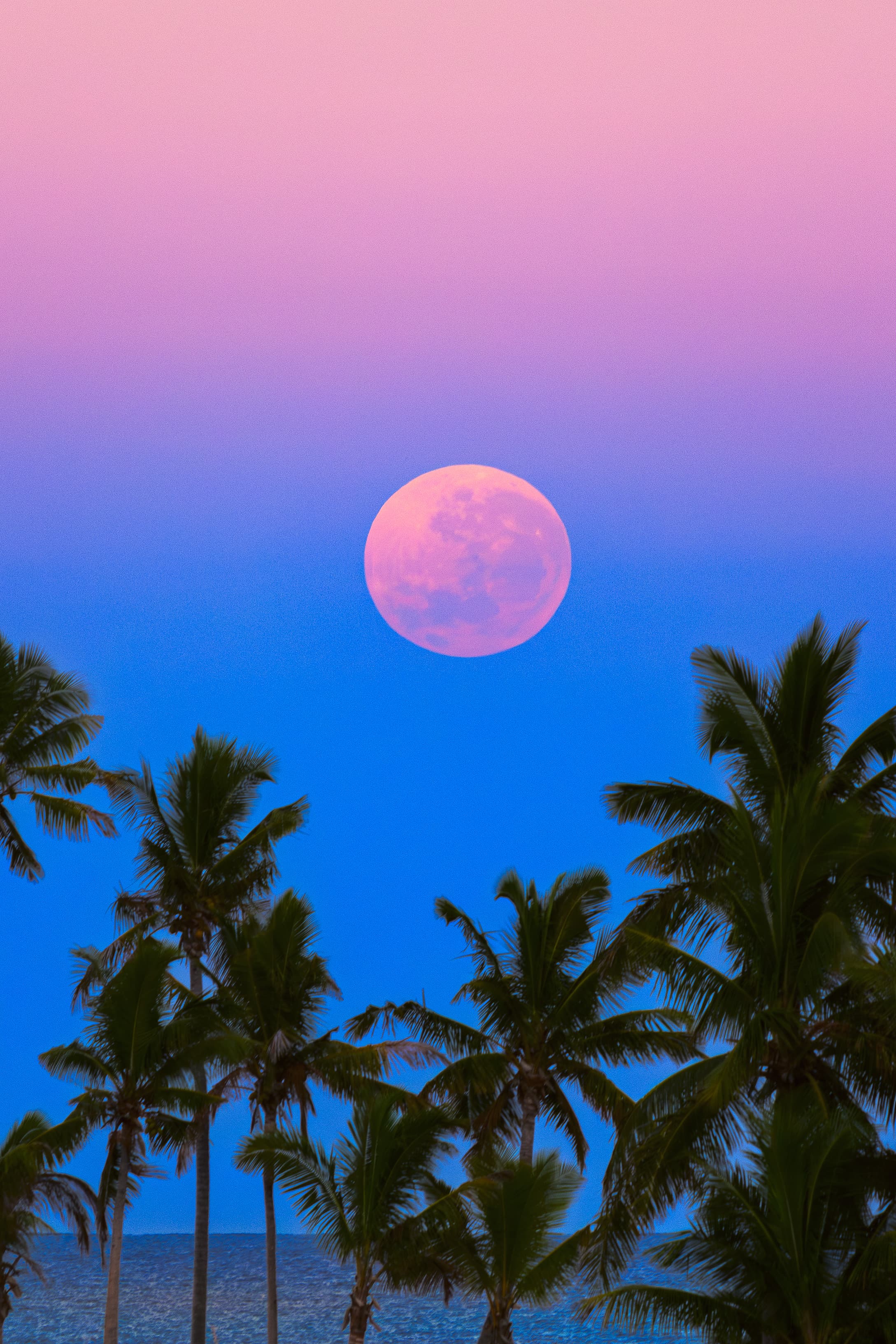 APOD: 2024 August 24 – South Pacific Shadowset