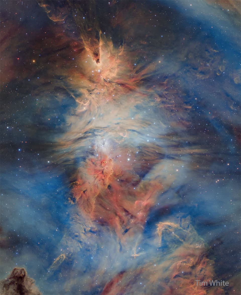 APOD: 2024 December 24 – Fox Fur, Cone, and Christmas Tree