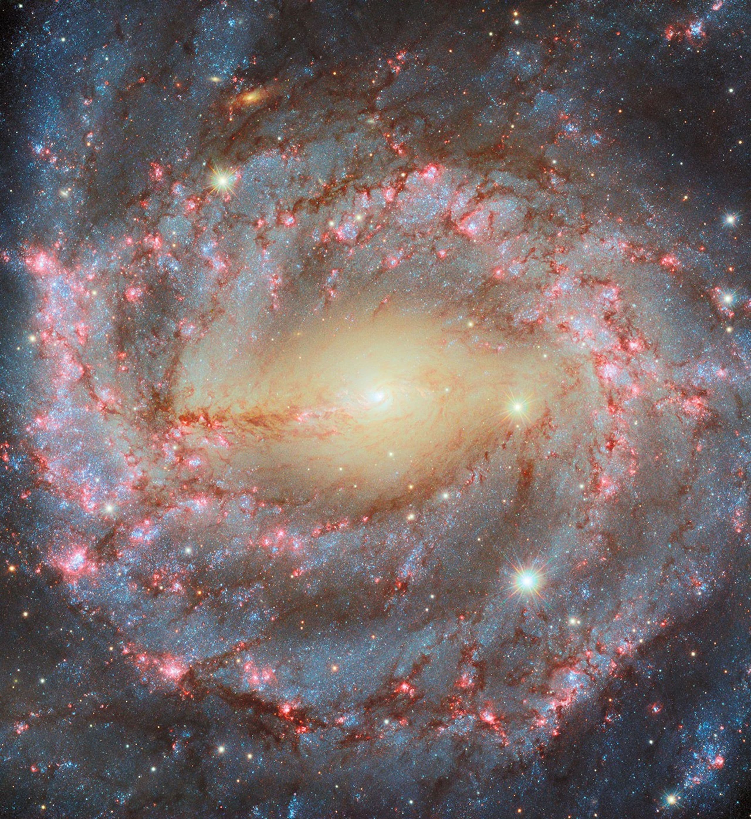 APOD: 2024 December 26 – Grand Spiral NGC 5643