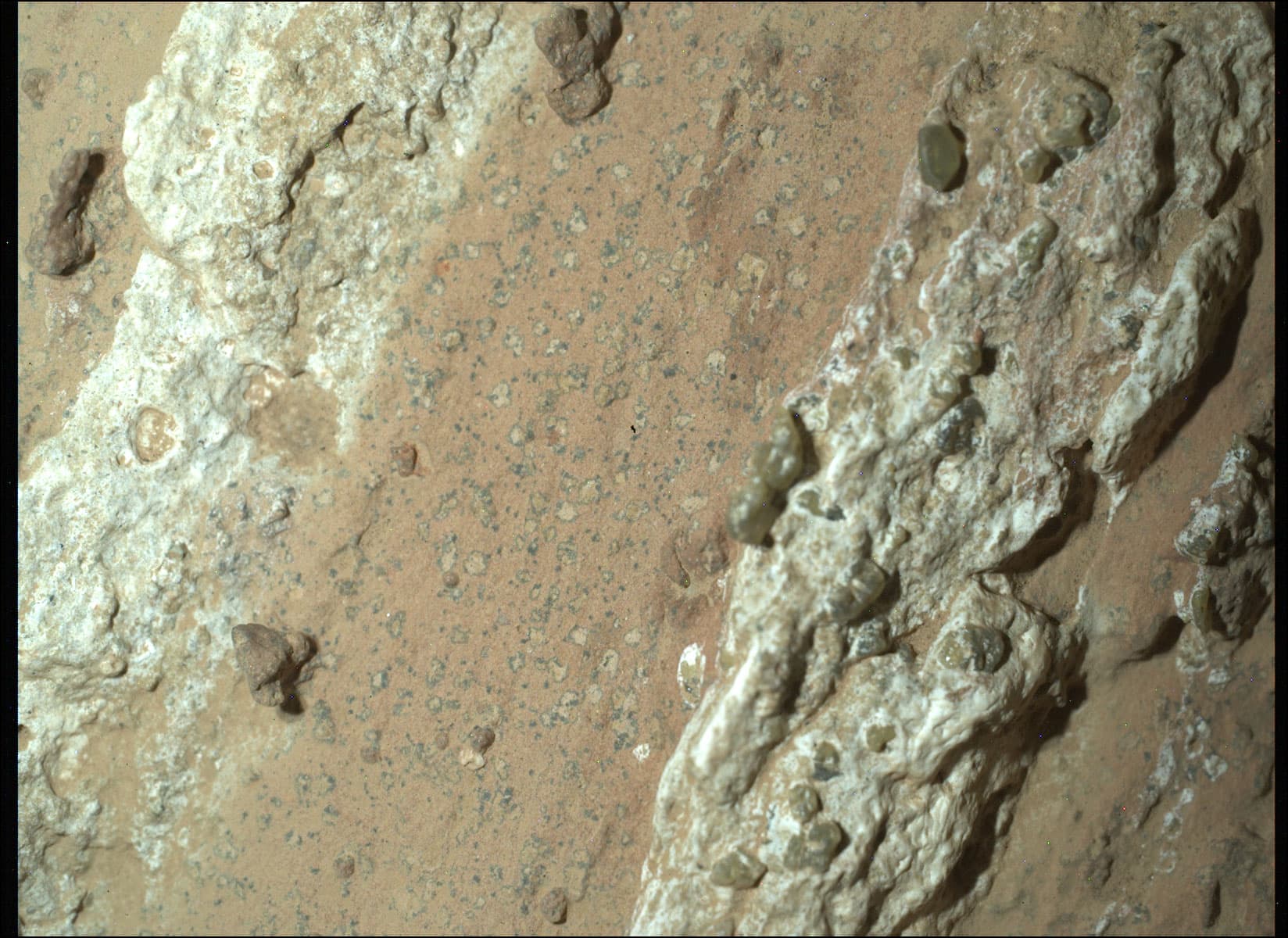 APOD: 2024 July 31 – Leopard Spots on Martian Rocks