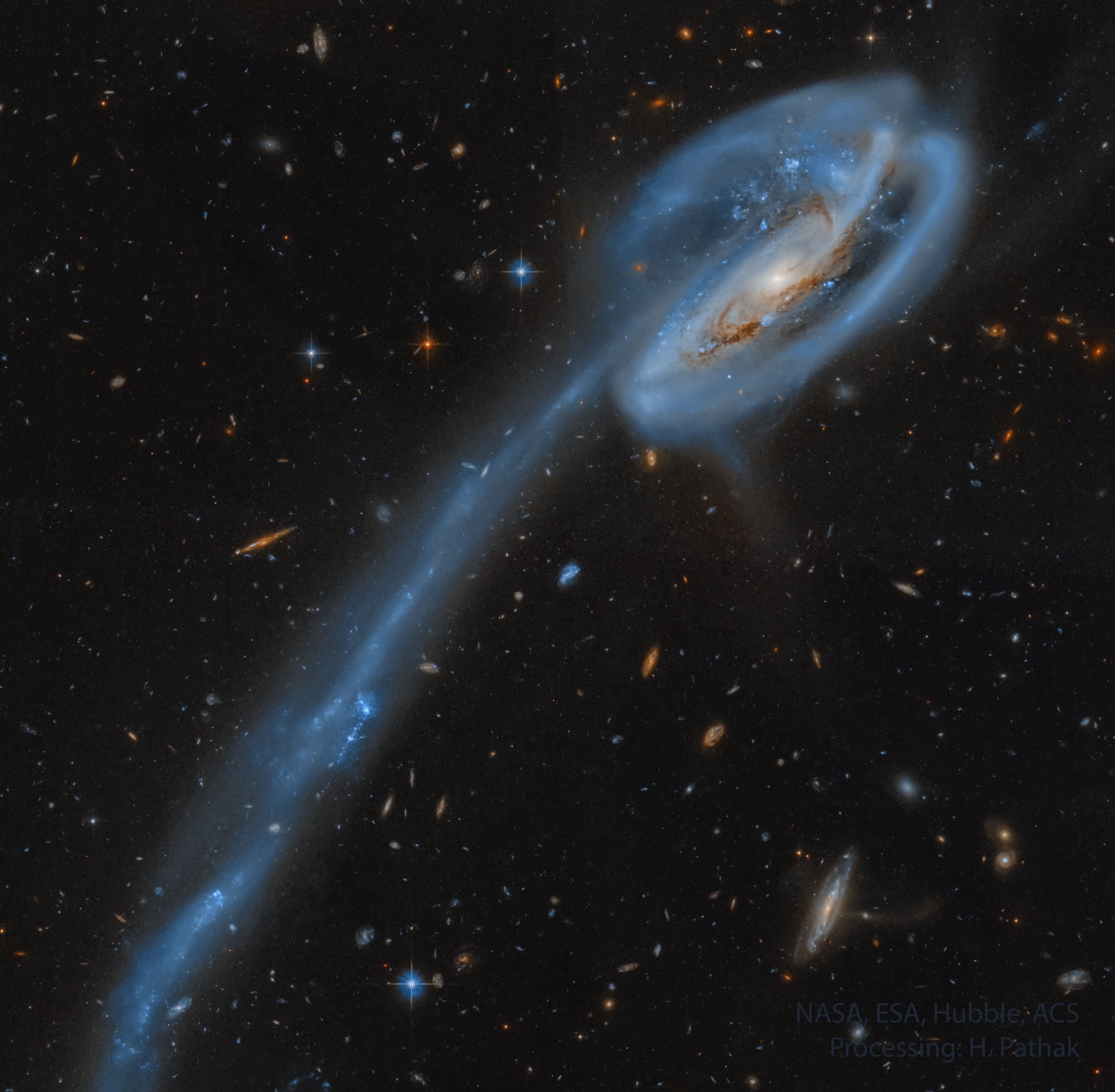APOD: 2024 July 15 – The Tadpole Galaxy from Hubble