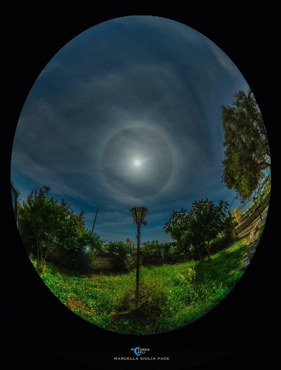 APOD: 2024 June 20 – Sandy and the Moon Halo
