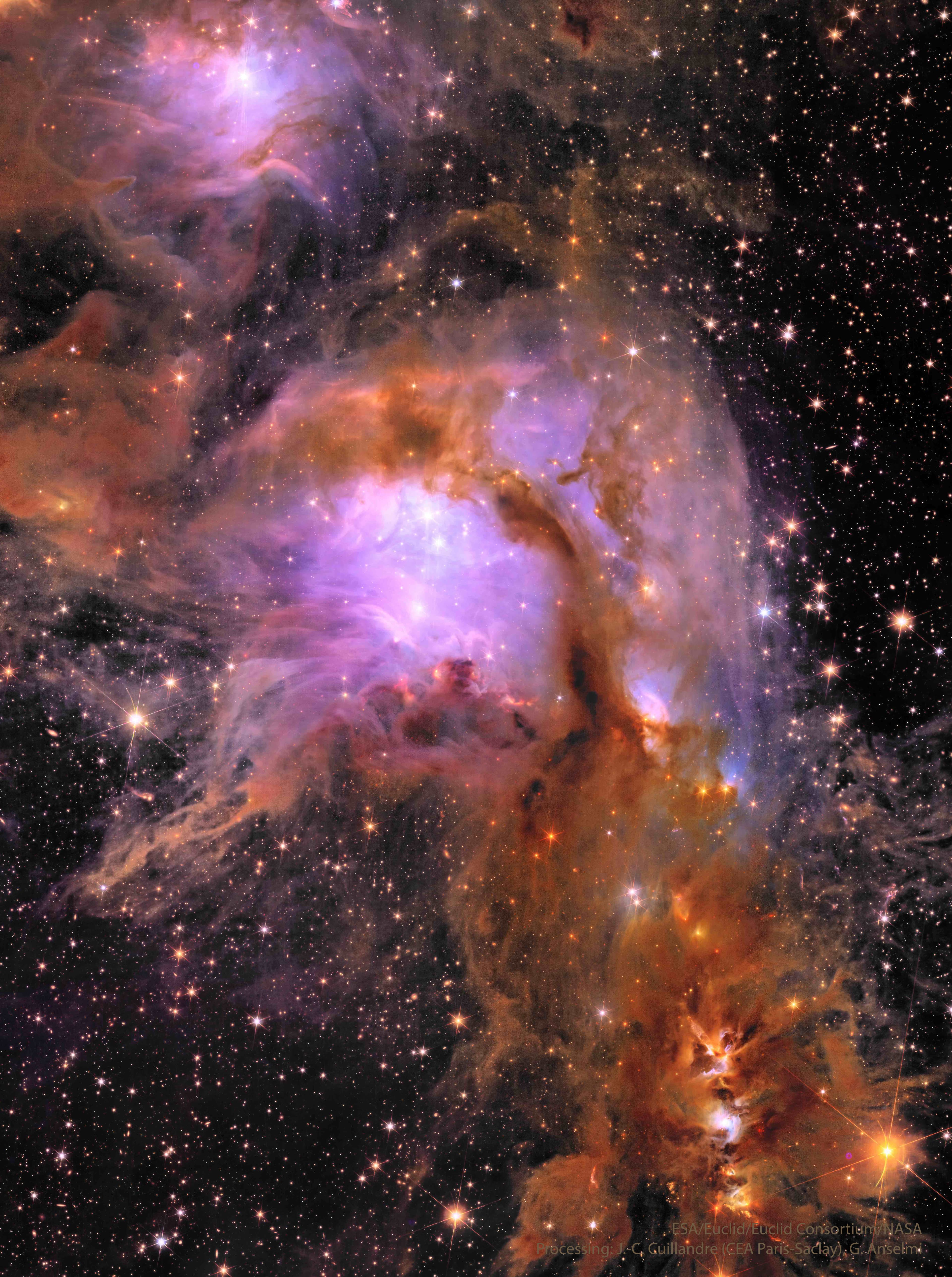 APOD: 2024 May 24 – M78 from the Euclid Space Telescope