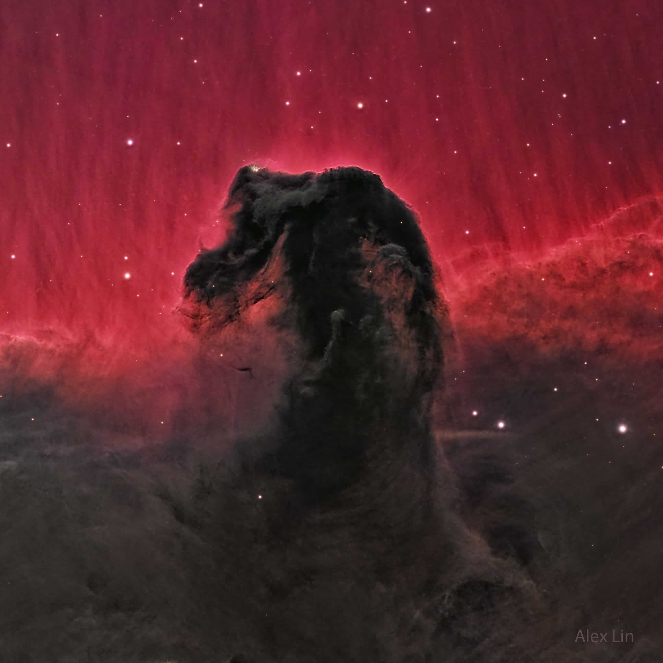 APOD: 2024 November 25 – The Horsehead Nebula