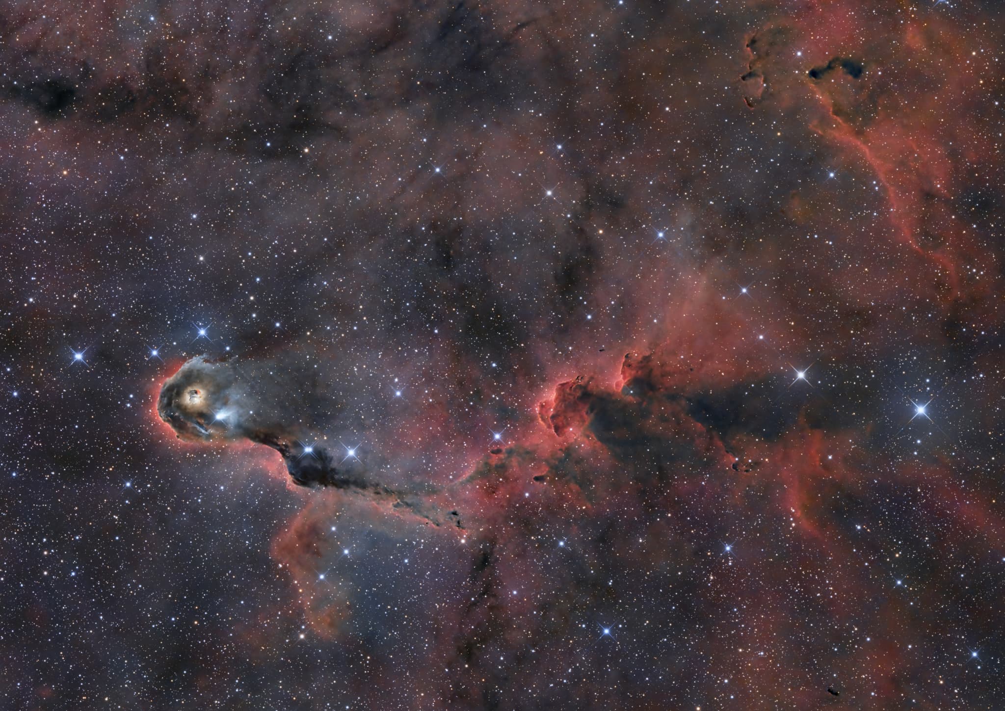 APOD: 2024 November 21 – The Elephant s Trunk in Cepheus