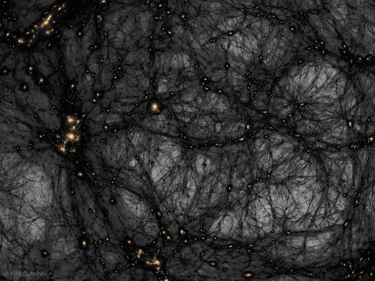 APOD: 2024 October 20 – Dark Matter in a Simulated Universe