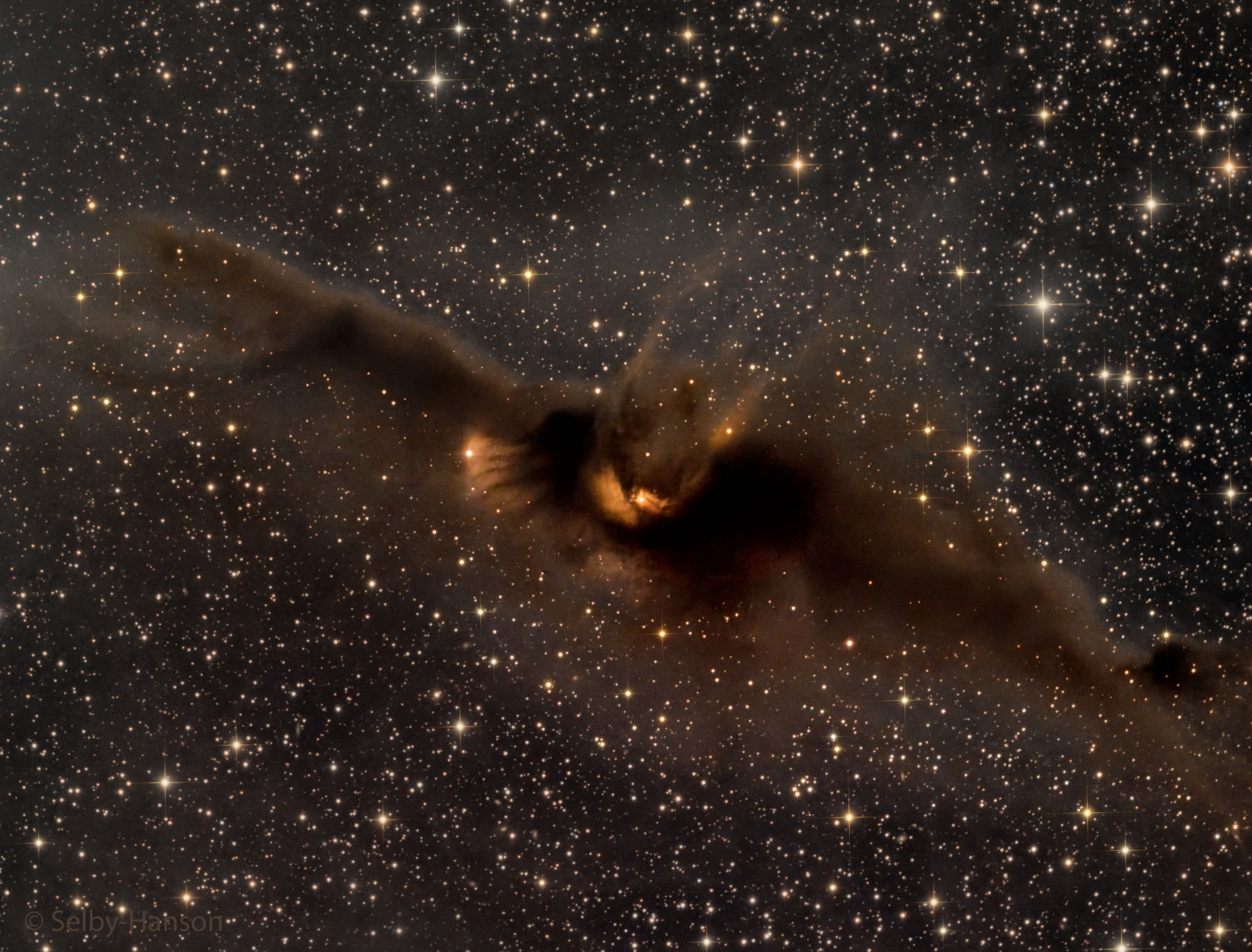 APOD: 2024 October 27 – LDN 43: The Cosmic Bat Nebula