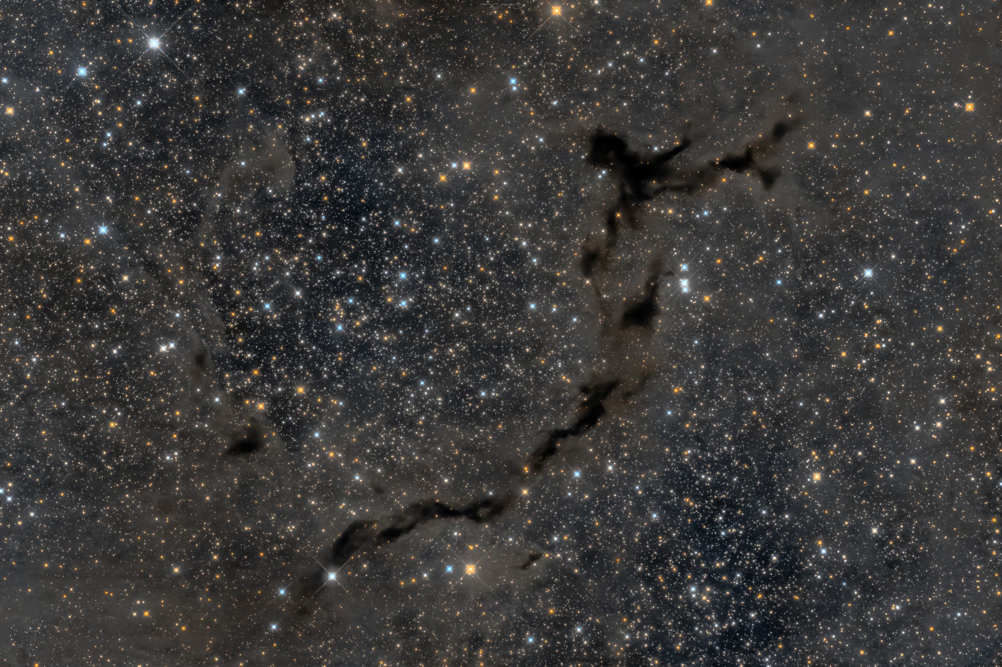 APOD: 2024 September 19 – The Dark Seahorse of Cepheus