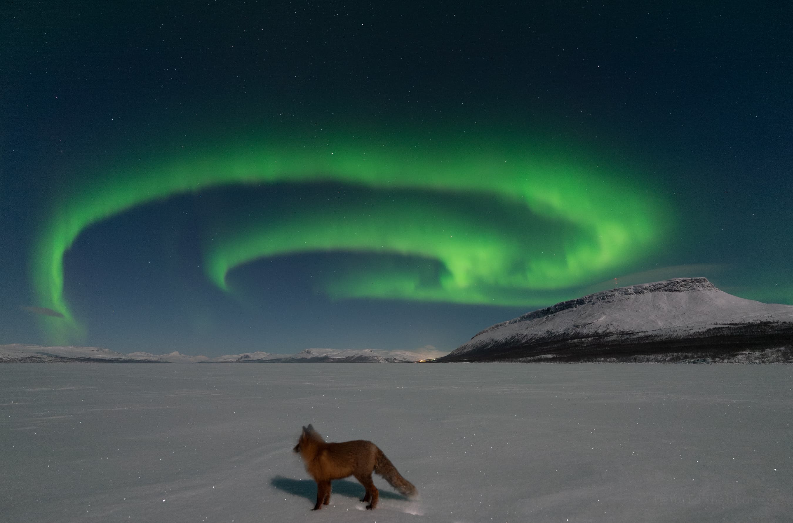 APOD: 2025 December 12 – Northern Fox Fires