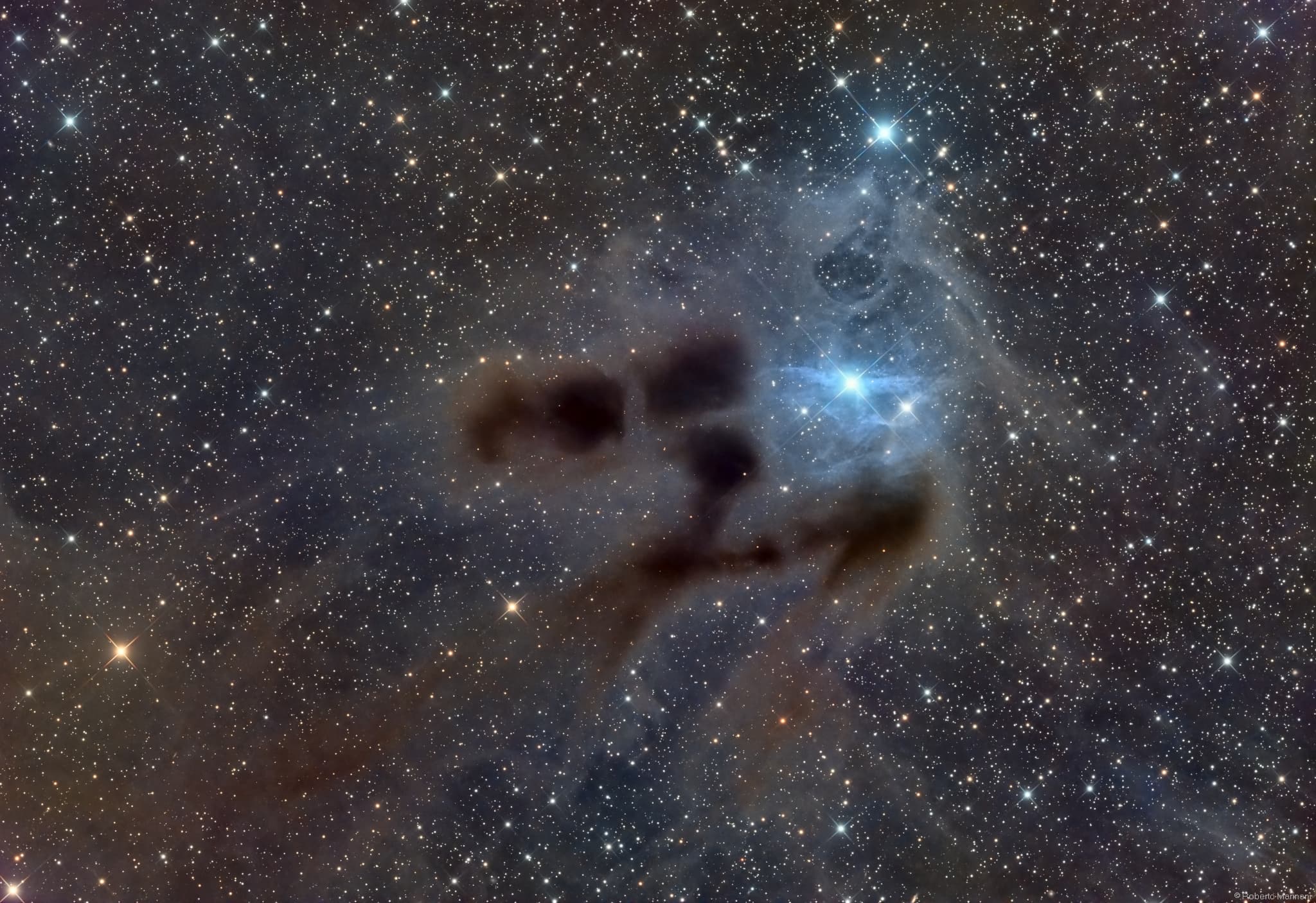 APOD: 2025 February 13 – Reflections on VdB 31