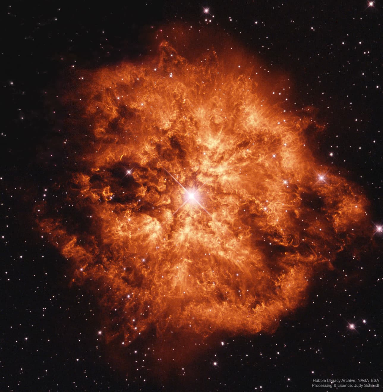 APOD: 2025 February 3 – Wolf Rayet Star 124: Stellar Wind Machine