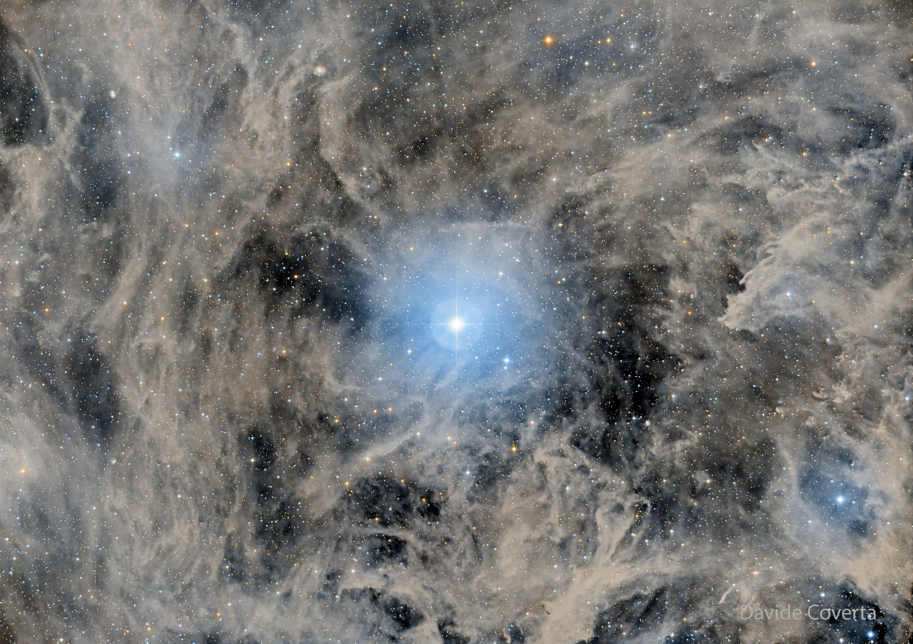 APOD: 2025 January 14 – North Star: Polaris and Surrounding Dust