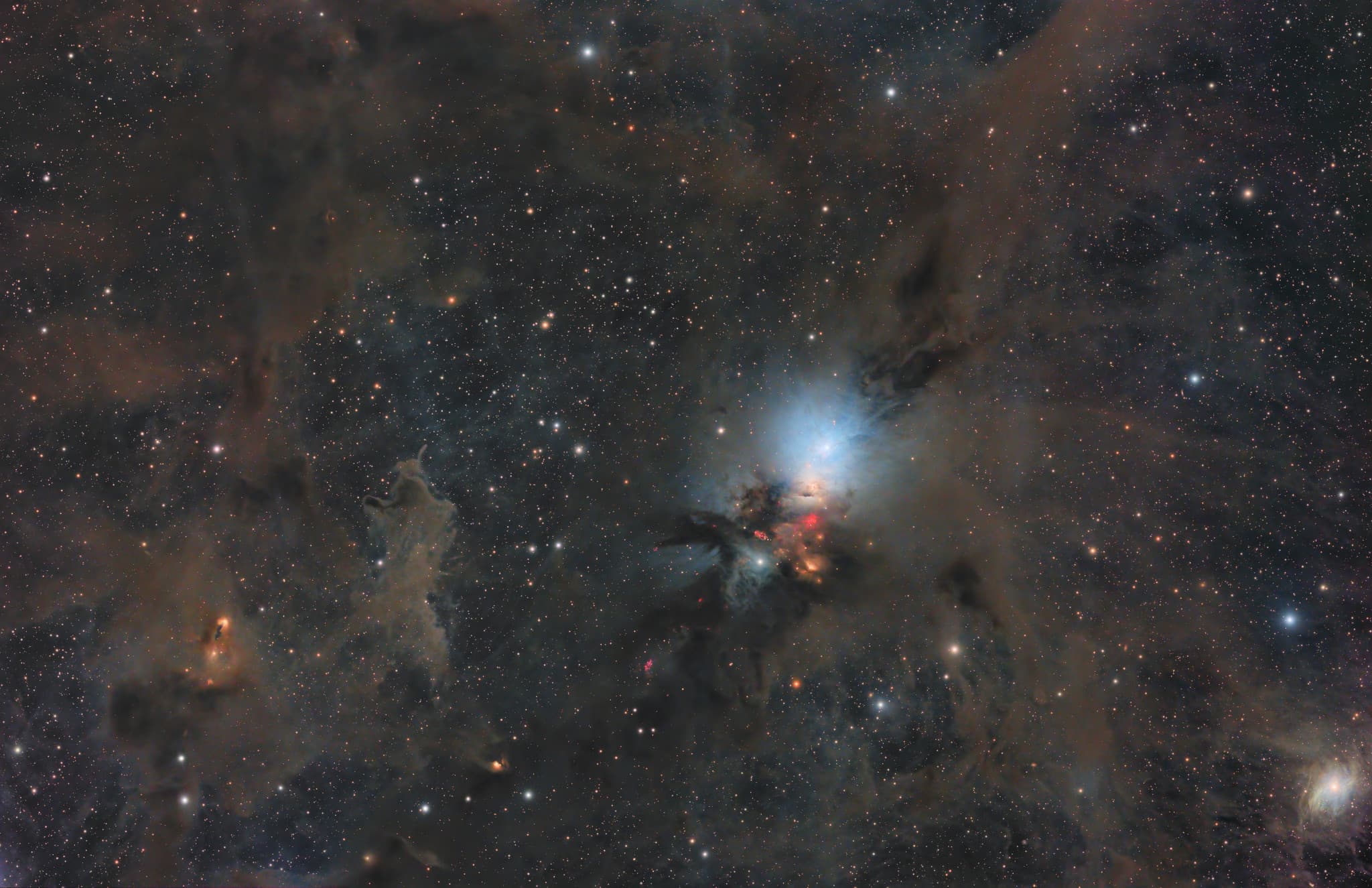 APOD: 2025 January 25 – Stardust in the Perseus Molecular Cloud