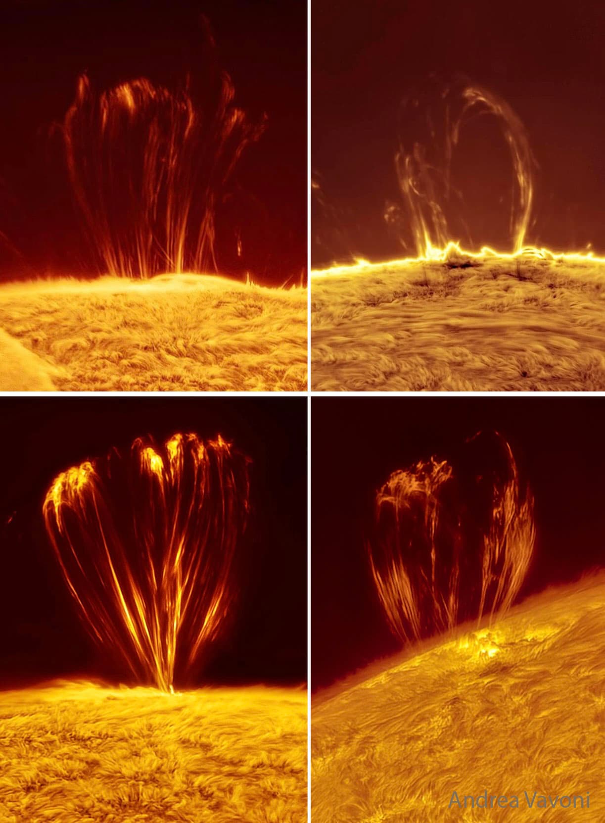 APOD: 2025 July 30 – Coronal Loops on the Sun
