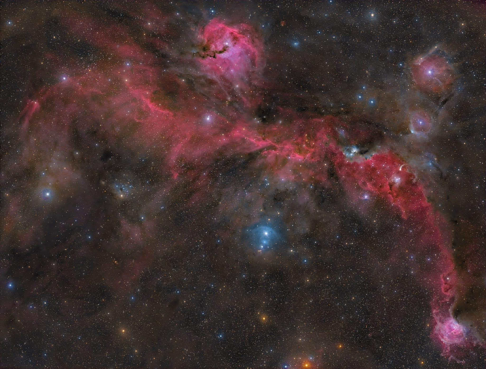 APOD: 2025 June 26 – The Seagull Nebula