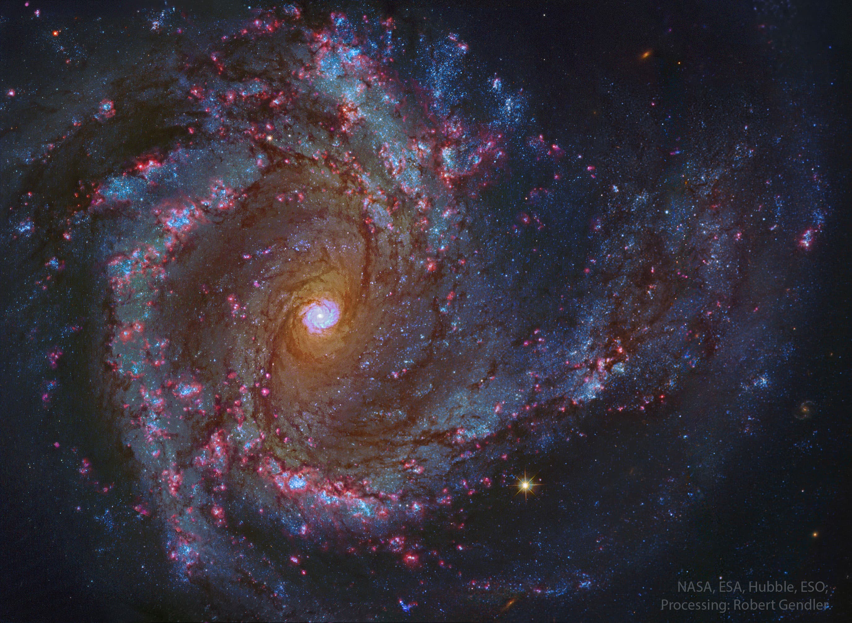 APOD: 2025 June 24 – In the Center of Spiral Galaxy M61