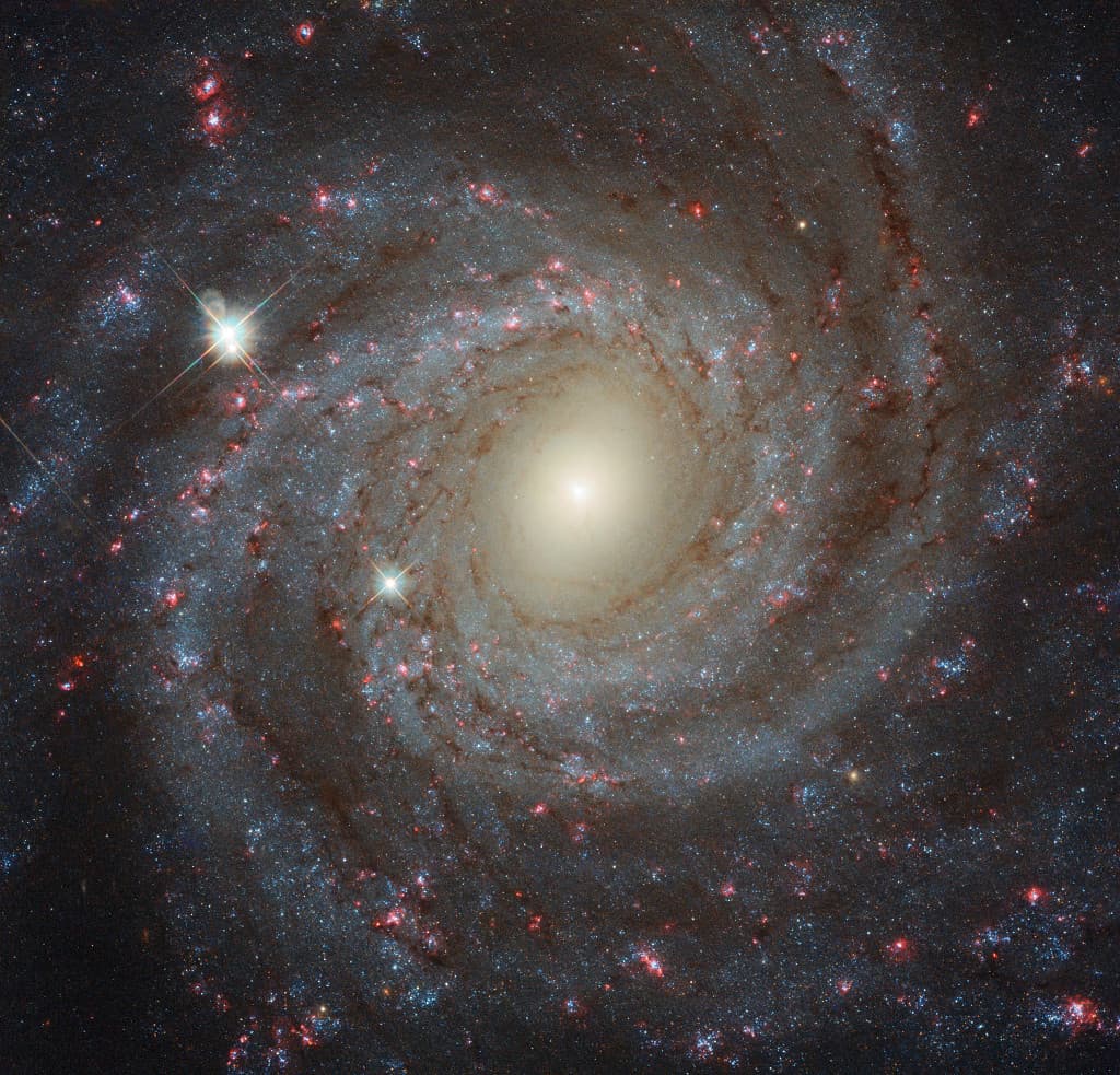 APOD: 2025 June 8 – Facing NGC 3344