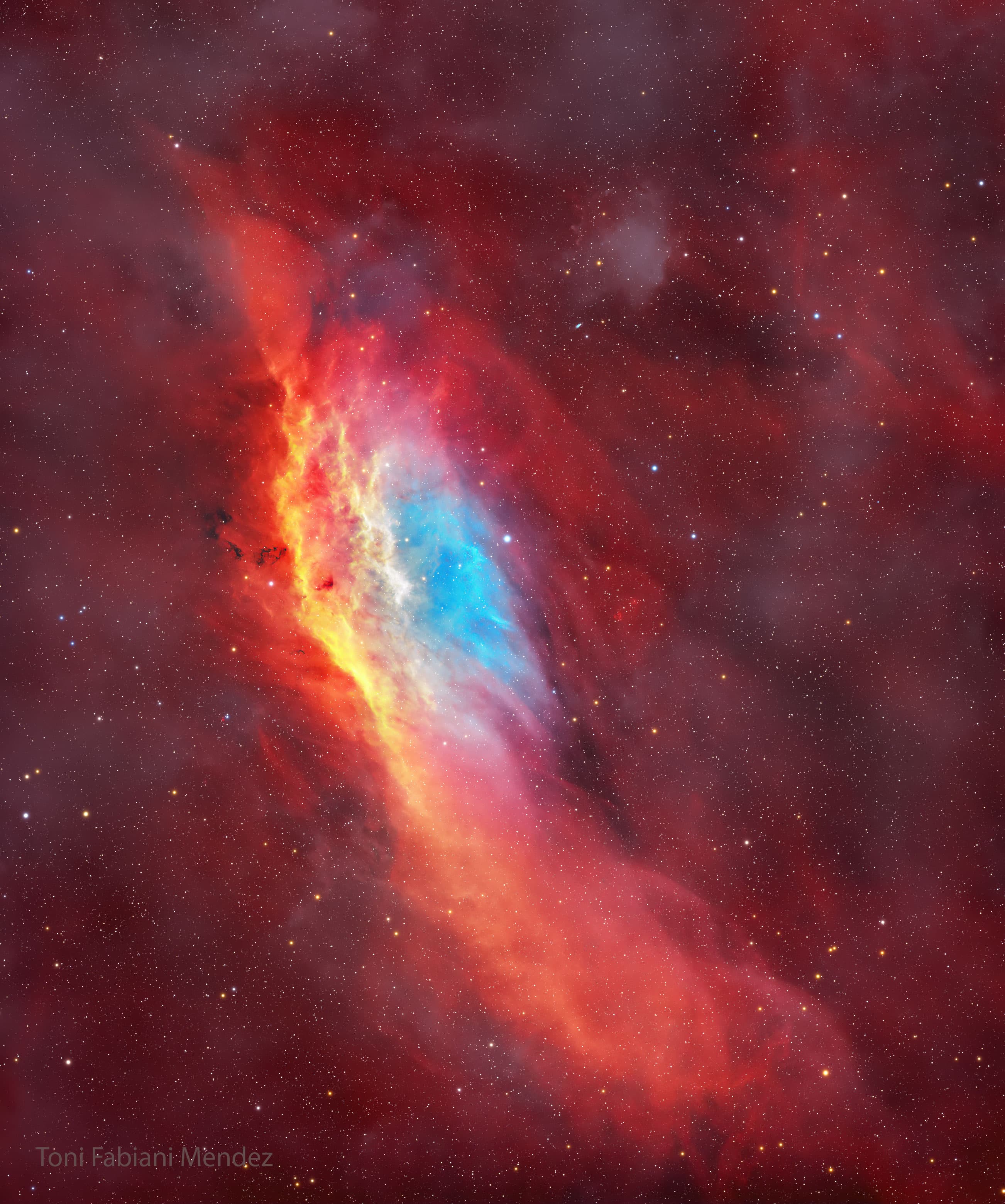 APOD: 2025 March 10 – NGC 1499: The California Nebula