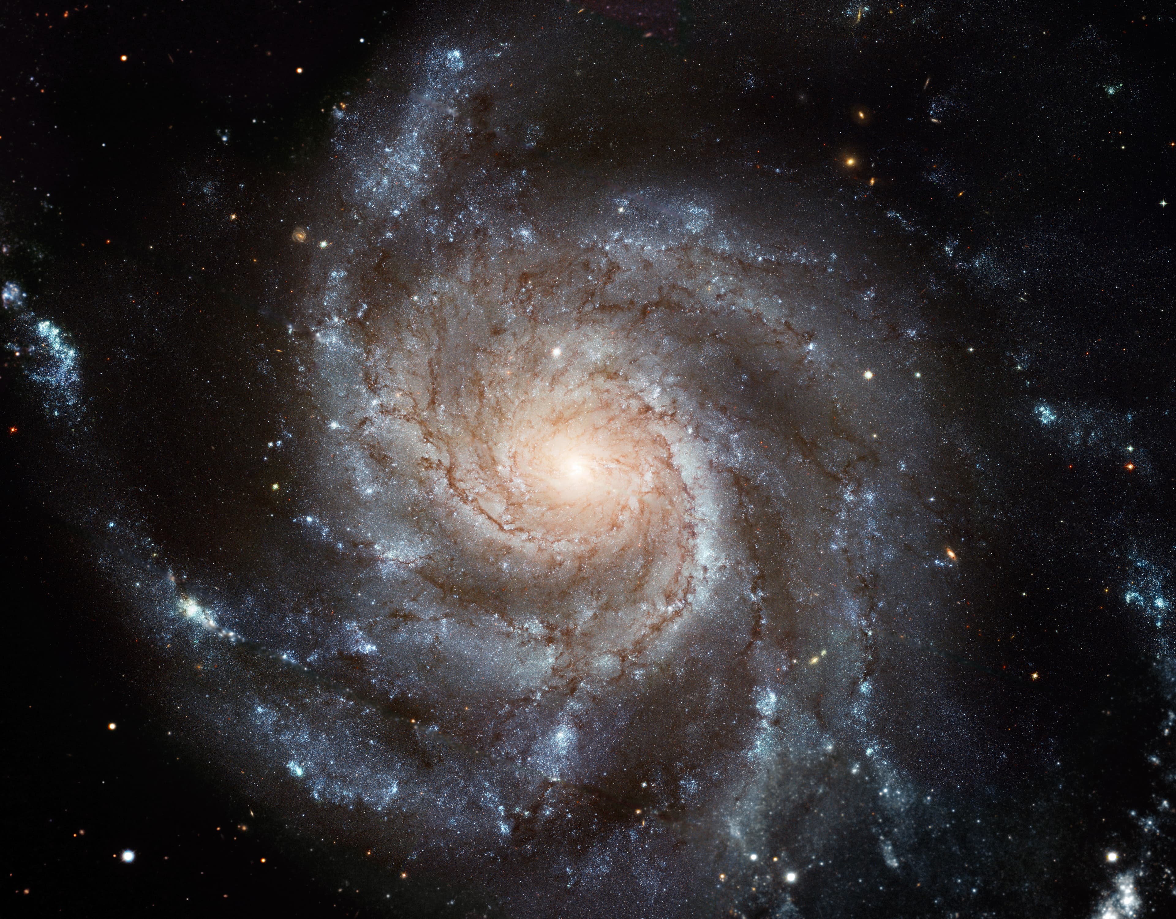 APOD: 2025 May 16 – Messier 101