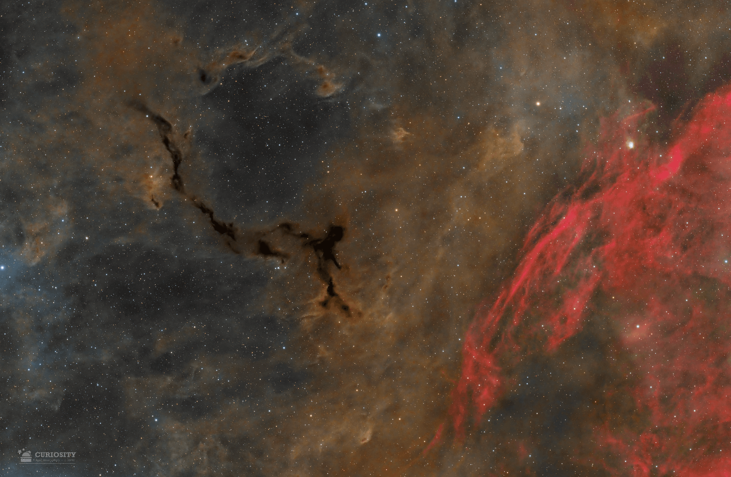 APOD: 2025 November 7 – A Dark Seahorse in Cepheus