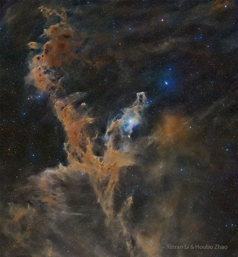 APOD: 2025 November 19 – Chamaeleon Dark Nebulas