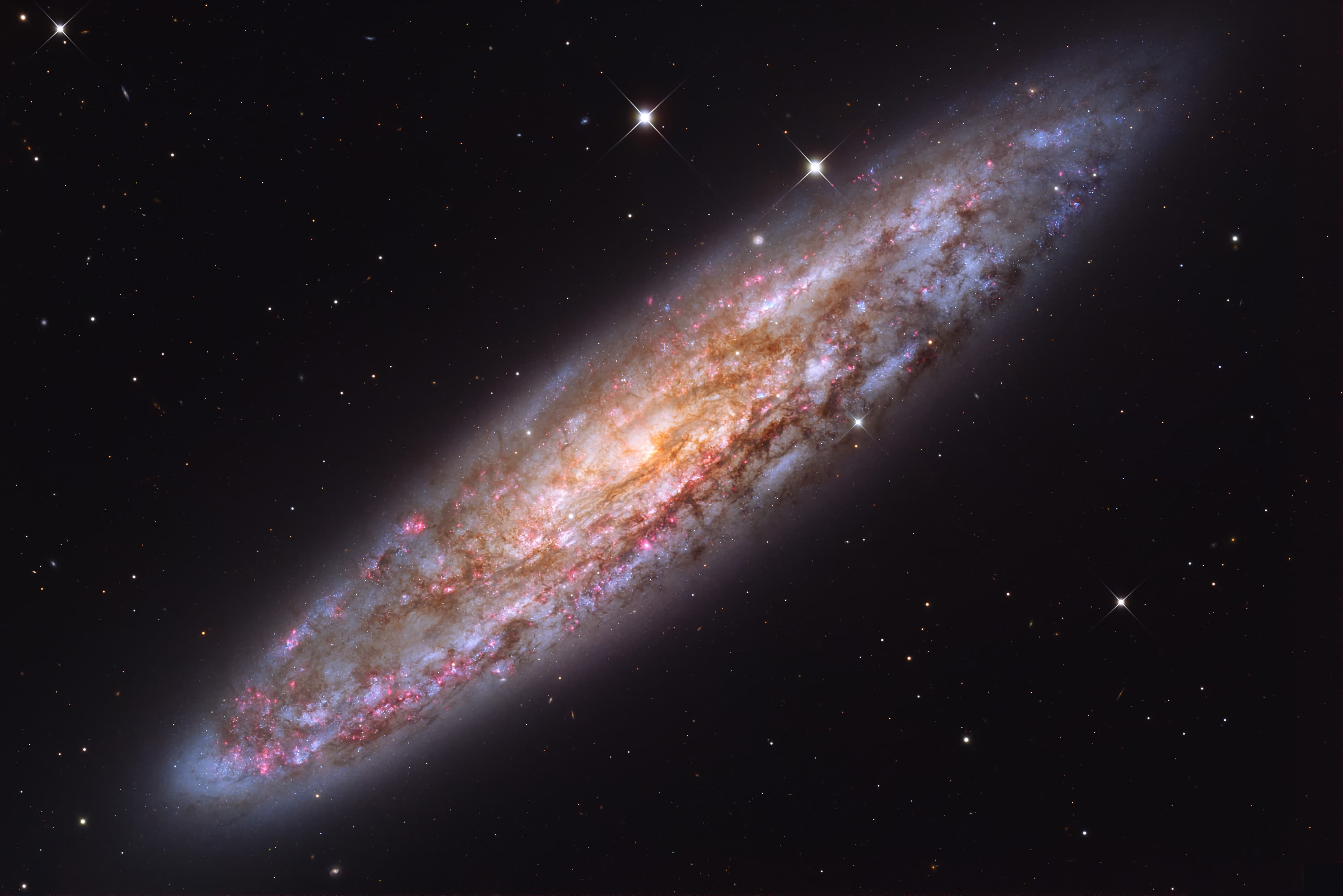 APOD: 2025 November 6 – NGC 253: Dusty Island Universe
