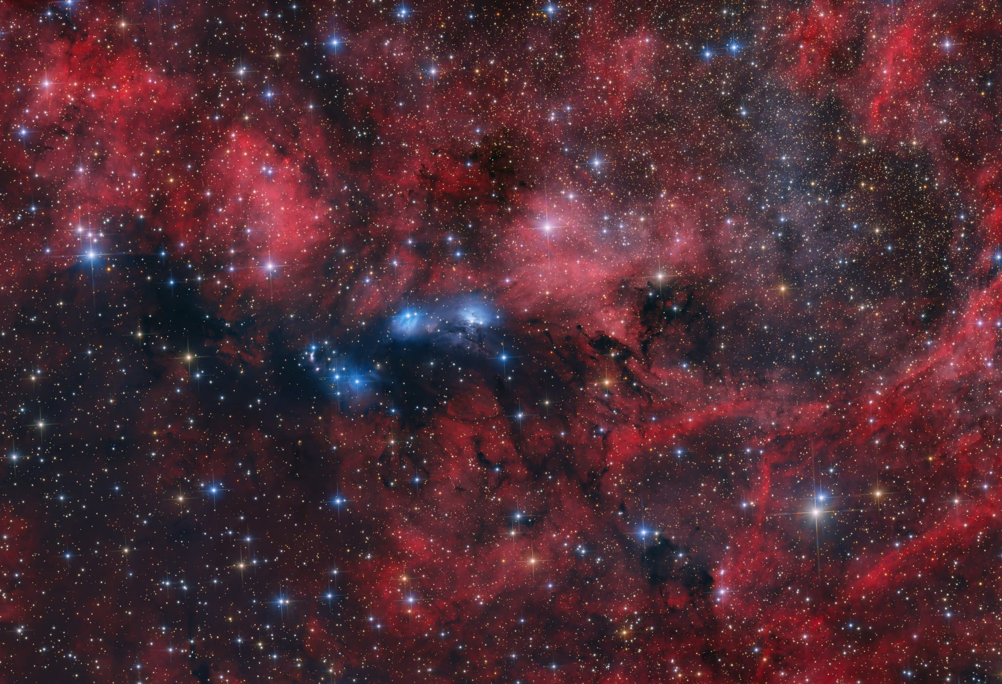 APOD: 2025 September 19 – The NGC 6914 Complex
