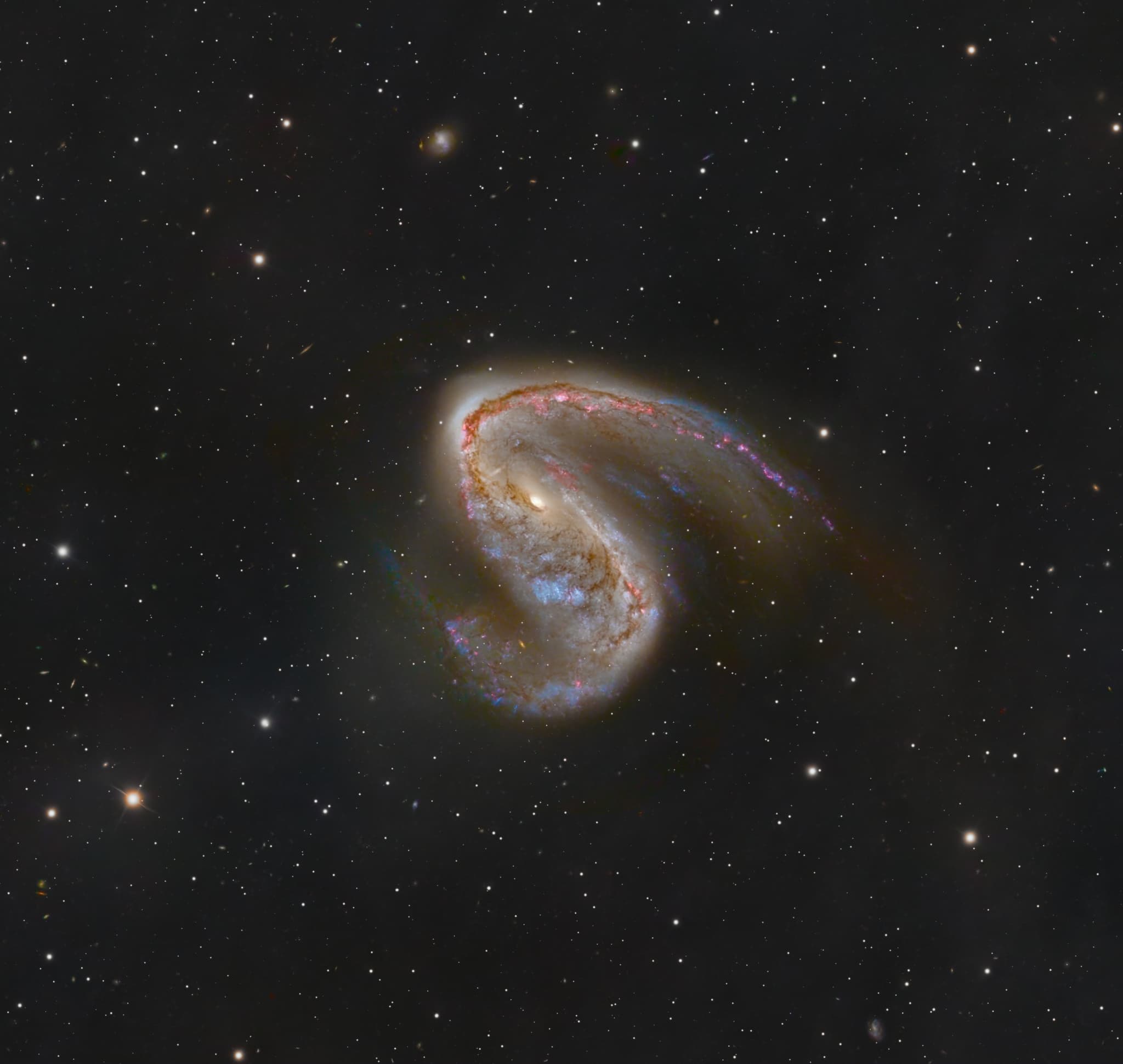 APOD: 2026 January 29 – NGC 2442: Galaxy in Volans