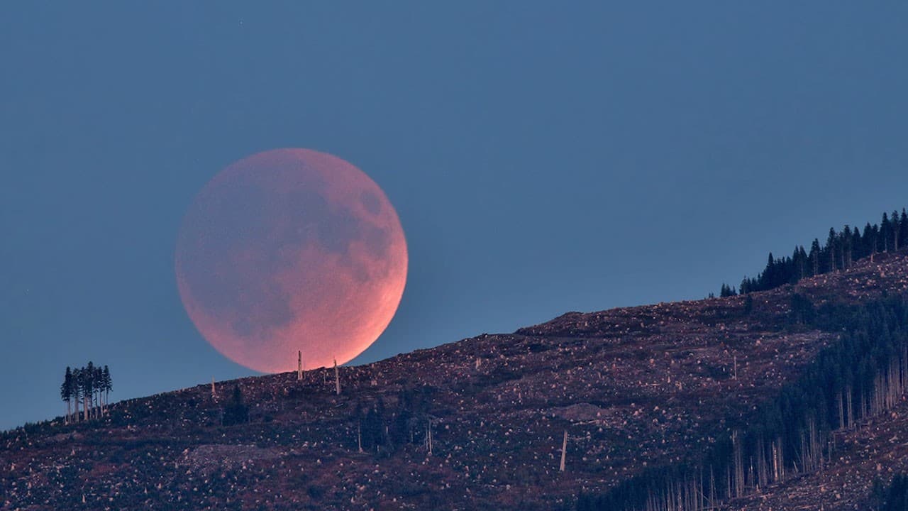 Arte de observação do céu em agosto publicada pela NASA Science