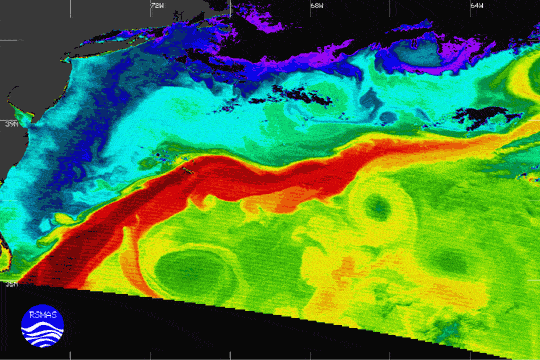 Temperature of the Gulf Stream