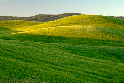 NASA Maps Earth’s Croplands from Space