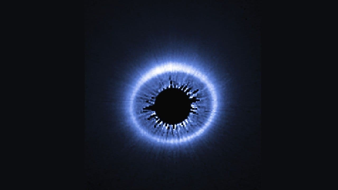 Cosmic crowdsourcing project marks millionth potential disk-overy