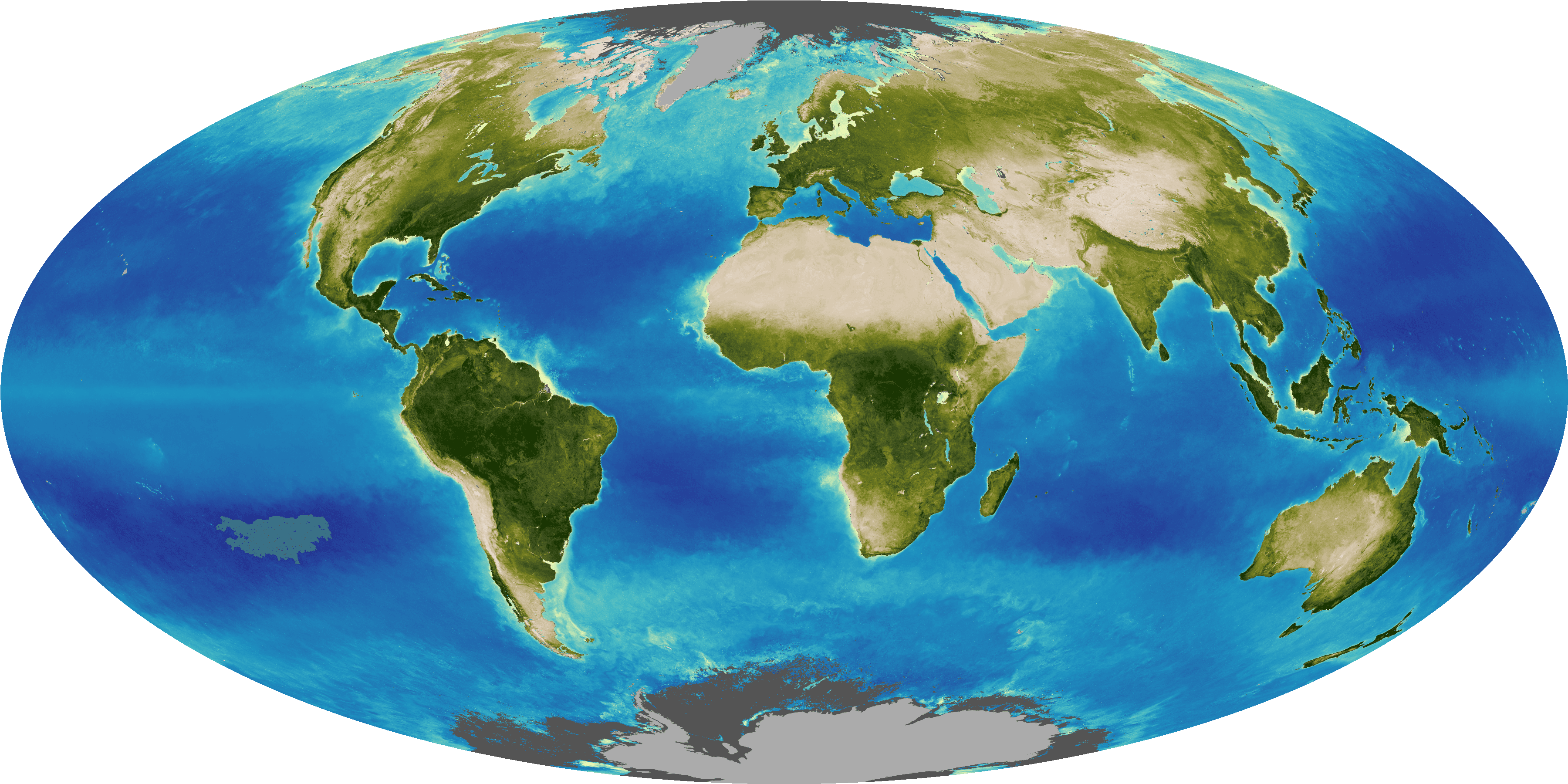 Leaf Year: Seeing Plants in Hyperspectral Color