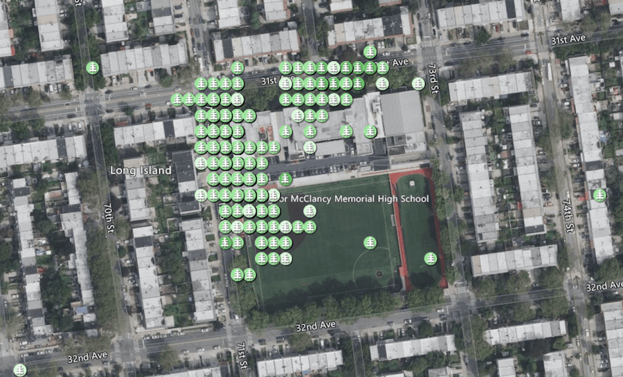 New York Math Teacher Measures Trees & Grows Scientists with GLOBE
