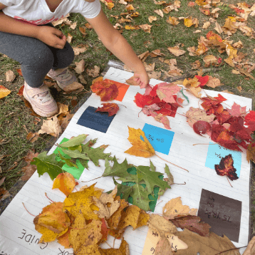 Students Across New England Contribute to Climate Science Through NASA’s GLOBE Green Down