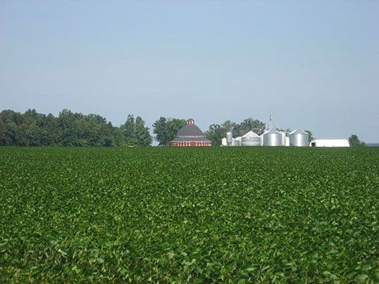 Building a better soybean for a hot, dry, hungry world
