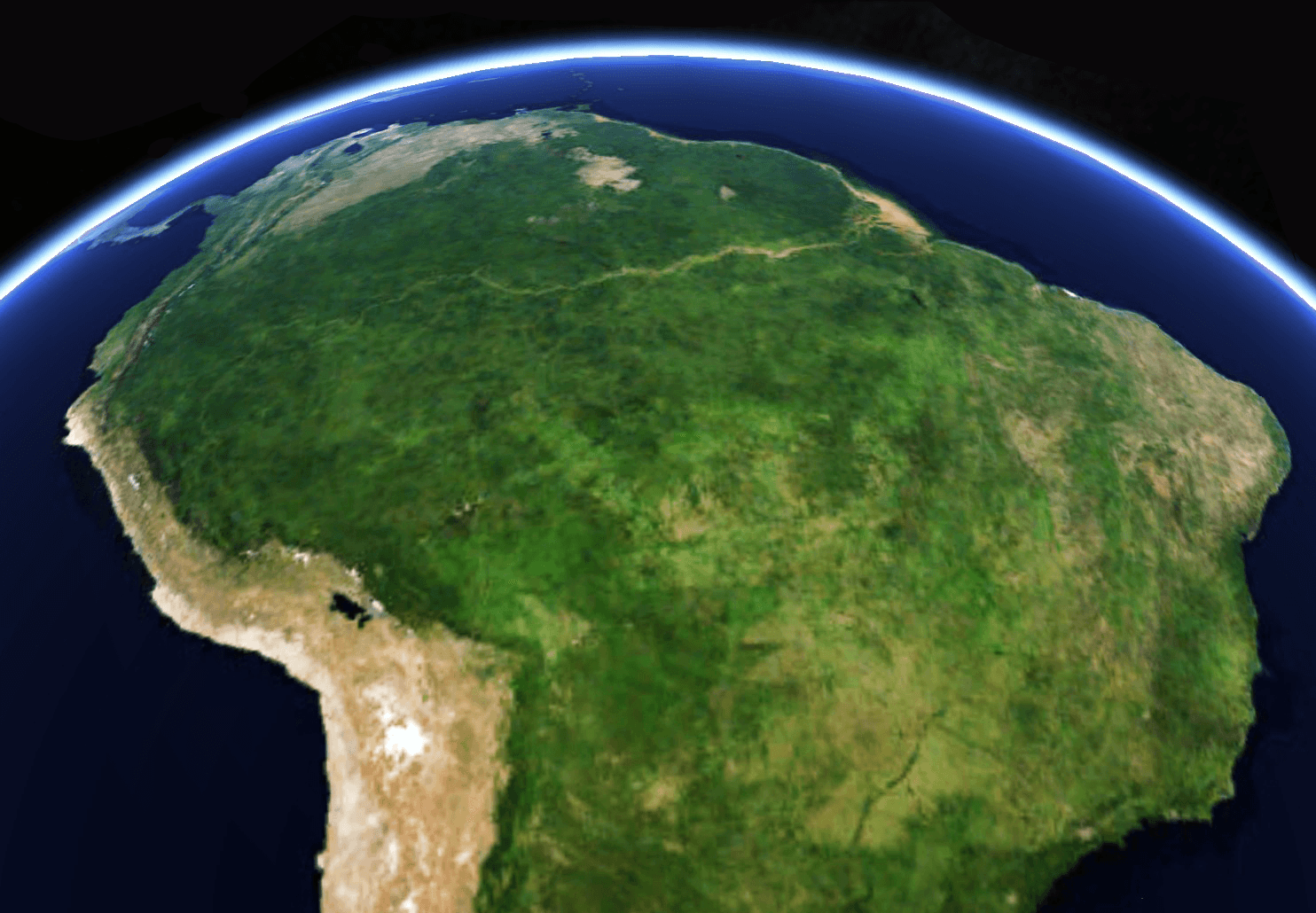 Tropical ecosystems boost carbon dioxide as temperatures rise