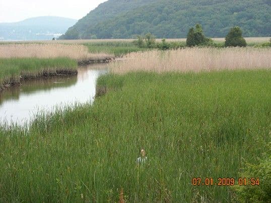 An ecosystem feels the human touch