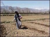 Aiding Afghanistan