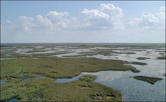 Deep Freeze and Sea Breeze: Changing Land and Weather in Florida