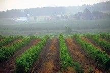 El Nino’s Extended Family: An Introduction to the Cyclic Patterns That Determine Global Weather